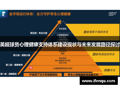英超球员心理健康支持体系建设现状与未来发展路径探讨